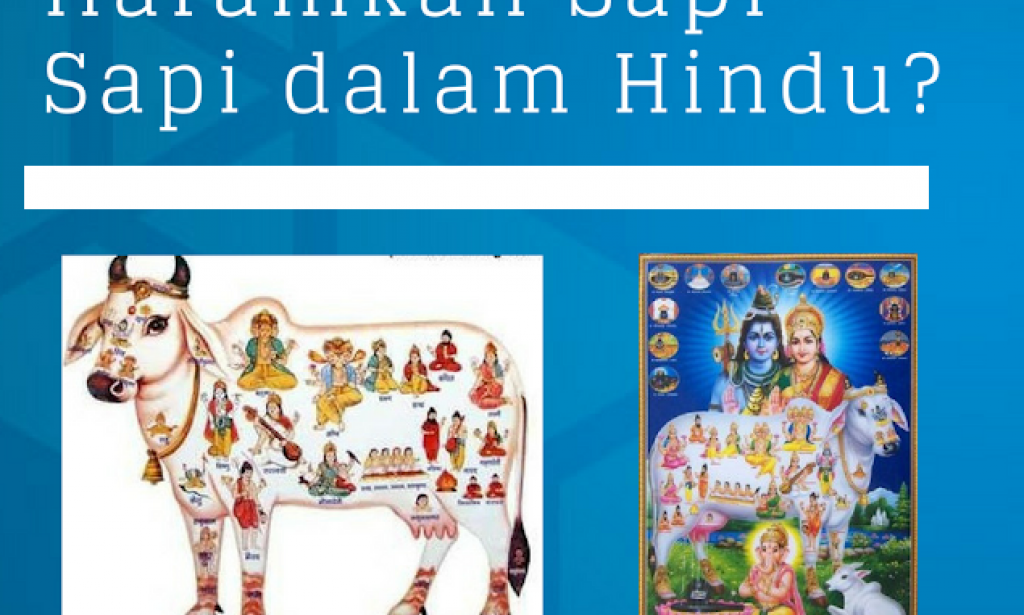 Alasan Sapi dianggap Suci oleh Agama Hindu