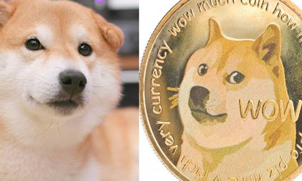 Waspadai Kripto Shiba Inu yang Mirip Doge.
