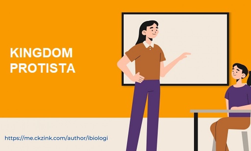 Ringkasan Materi Biologi: Protista