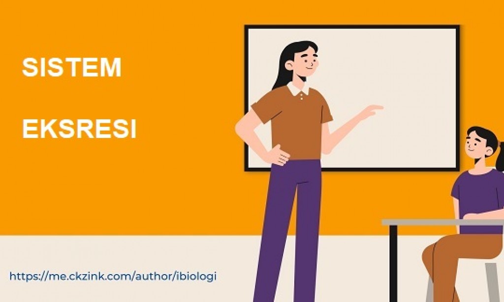 Soal Biologi dan Pembahasan: Sistem Eksresi