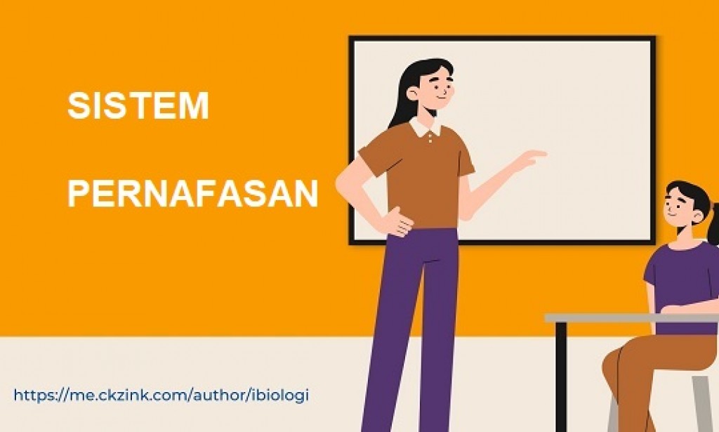 Soal Biologi dan Pembahasan: Sistem Pernafasan