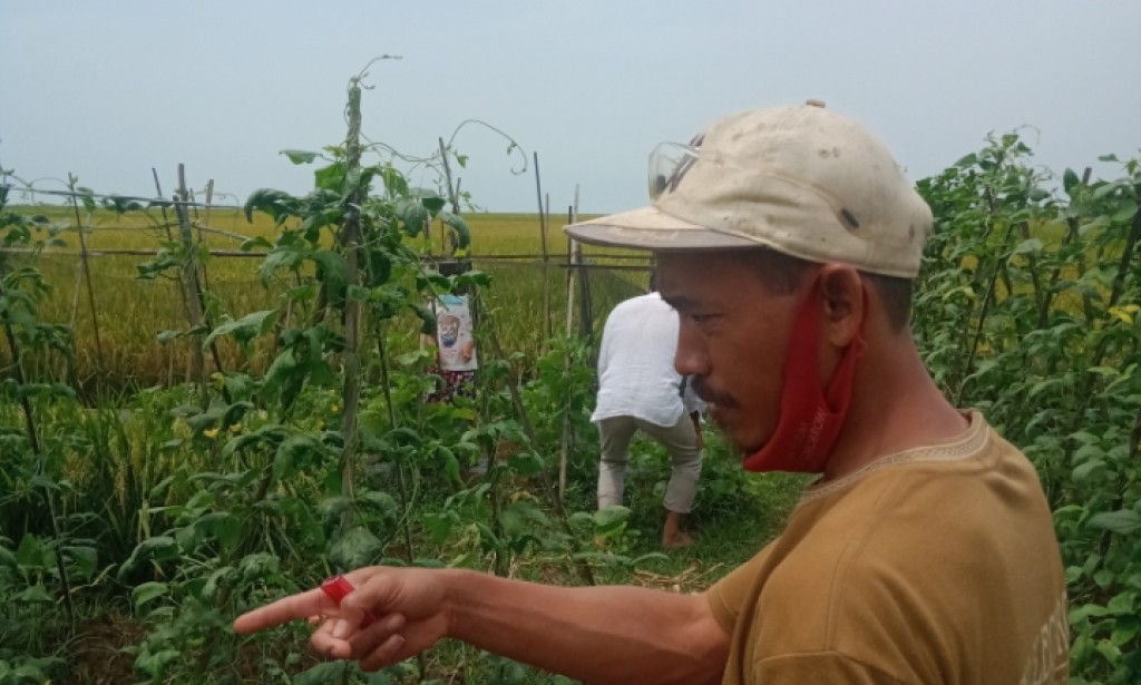 Sang Petani Sejati Dari Kedokan Agung