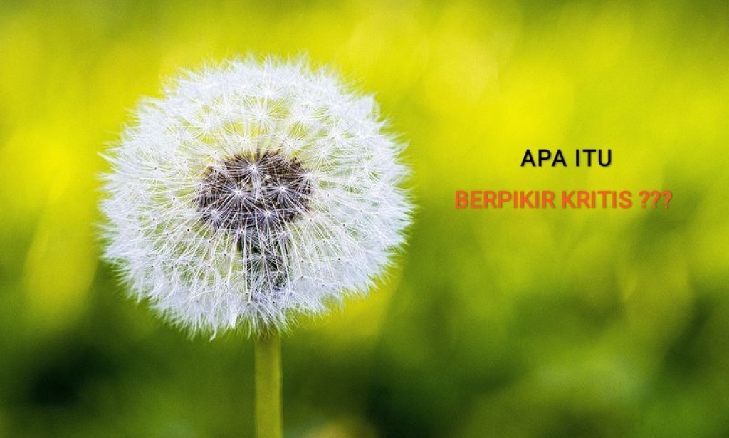 Apa Itu Berpikir Kritis?